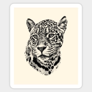 Jaguar portrait Sticker